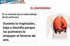 Image result for espirativo