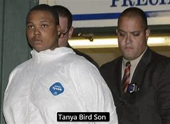 Image result for Taniya Bird Case