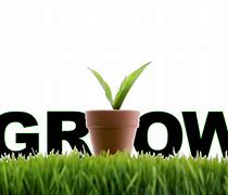 Image result for Grow Business Icon