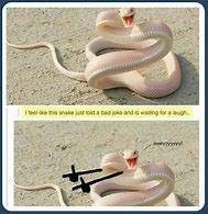 Image result for Snake Smiling Meme