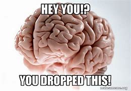 Image result for You Dropped This Brain Meme
