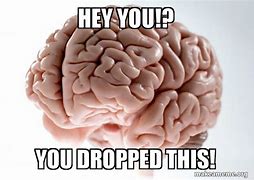 Image result for Drop Your Brain Meme