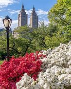 Image result for La Quinta by Wyndham Central Park NYC