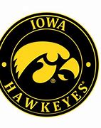 Image result for Iowa Hawkeye Drawings Cool