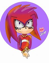 Image result for Knuckles the Echidna Girl
