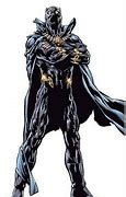 Image result for Batman Forever Panther Suit