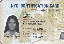 Image result for State Identification Card