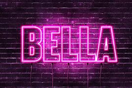 Image result for Bella Twins Names