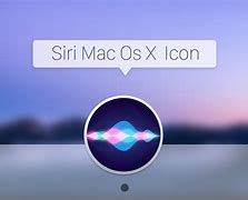 Image result for Siri Icon Macos