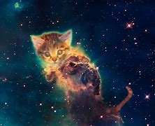 Image result for A Wallpaper That Says Chat Galaxy