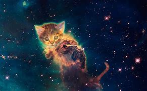Image result for Cute Galaxy Kitty