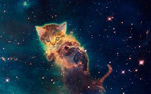 Image result for Purple Galaxy Cat Wallpaper