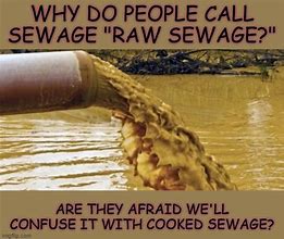 Image result for Sewer Backup Meme