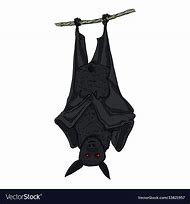 Image result for Bat Hanging From Blood Draw Sign Meme