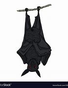 Image result for Hanging Bat Drawing