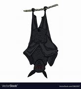 Image result for Upside Down Bat Clip Art No Background