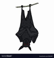 Image result for Big Bat Cartoon Upside Down