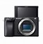 Image result for Sony Mirrorless Camera Streaming