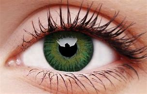Image result for Green Contact Lenses
