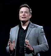 Image result for Elon Musk CEO