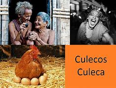 Image result for culeco