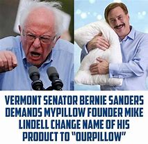 Image result for Mike Lindell My Pillow Guy