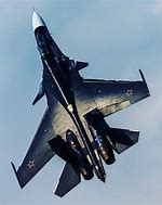 Image result for Su-30 Black