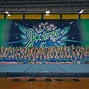 Image result for Cheer Teams Near Me for Beginners