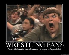 Image result for People Watching Wrestling