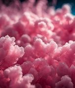 Image result for Cotton Candy Sugar