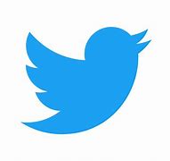 Image result for Twitter Logo SVG