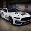 Image result for Mustang Stock Car