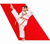 Image result for Red Back Martial Arts