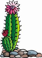 Image result for Blooming Cactus Clip Art