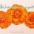 Image result for Marigold Flower Clip Art
