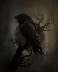 Image result for Scary Raven Drawings