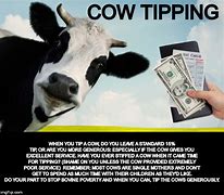 Image result for Cow Tipping Meme