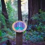 Image result for Redwood Forest Vacations
