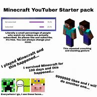 Image result for Minecraft Starter Pack Meme