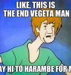 Image result for Confused Shaggy Meme