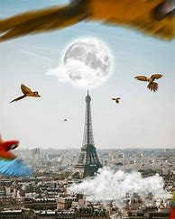 Image result for Eiffel Tower PicsArt