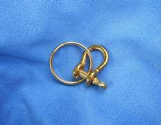 Image result for Small Key Ring Shackle