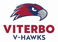 Image result for Viterbo eSports Flyer