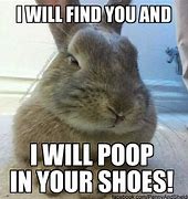 Image result for Angry Rabbit Meme