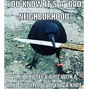 Image result for Crow Holding Pigeon Down Meme