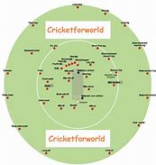 Image result for Cricket Field Setting