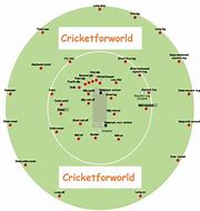 Image result for Cricket Field Diagram