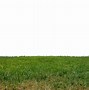 Image result for Translucent Grass Material