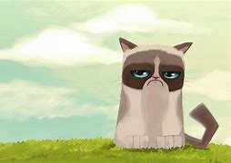 Image result for Animated Grumpy Cat