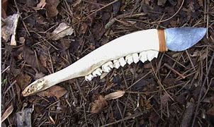 Image result for Deer Jawbone Knife